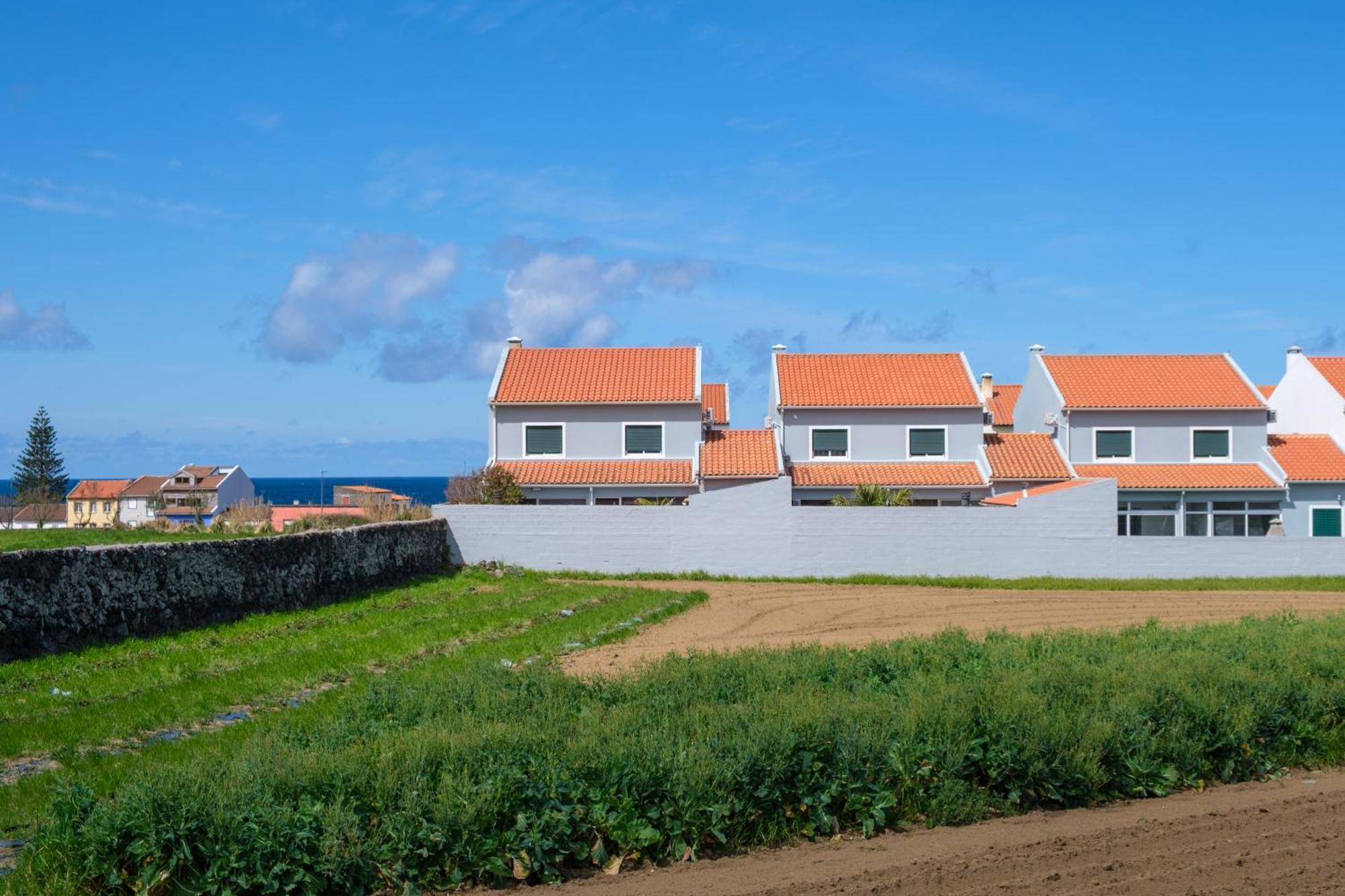 Areal De Santa Barbara Guest House Ribeira Grande Buitenkant foto